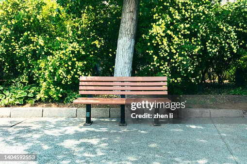 Bench in the park Bench in the park
