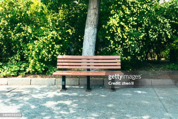 bench in the park - roadside stock pictures, royalty-free photos & images