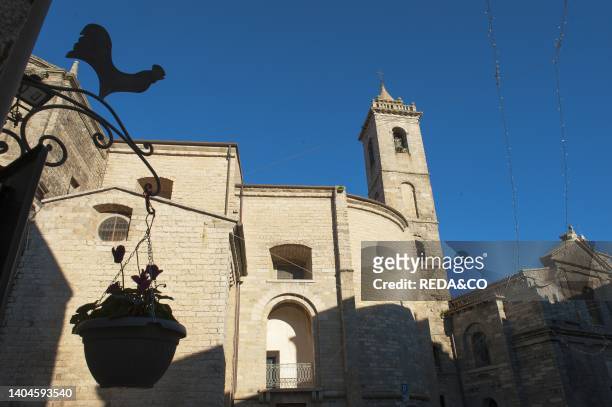 Rooster symbol of Gallura, and on background San Pietro Cathedral; Tempio Pausania; Sardinia, Italy, Europe.
