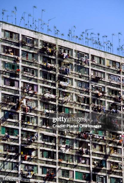 Overcrowded government tower-block accommodation in Kowloon, Hong Kong.