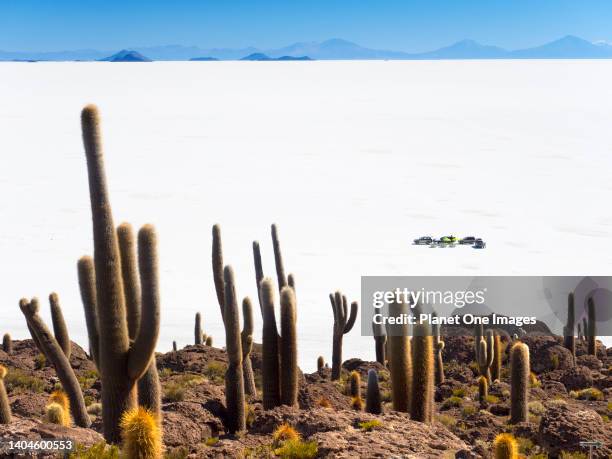 Surreal view from Isla Incahuasi of the Uyuni Salt Flats in Bolivia 16.