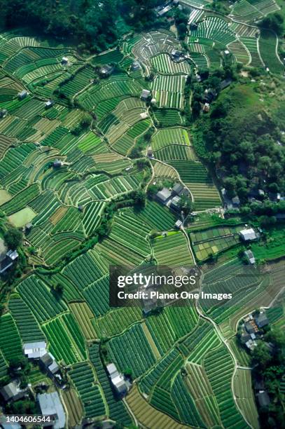 Aerial image of fields in the New Territories of Hong Kong.