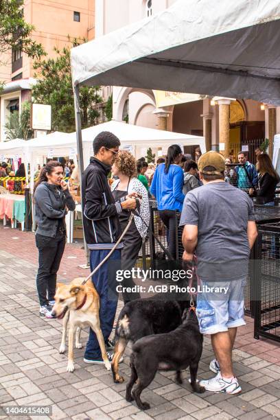 Sao Paulo, SP, Brasil, . DIA DE SaO FRANCISCO. Bênçaos e missa dedicadas aos animais sao ministradas na Igreja de Sao Francisco de Assis, durante o...