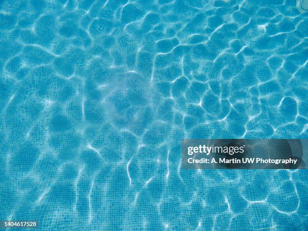 abstract view of bottom caustics of swimming pool with ripple... - unterer teil stock-fotos und bilder