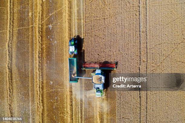 Aerial view of combine harvester and tractor with trailer harvesting rapeseed field in summer.