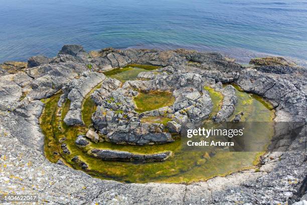 Prästens badkar/priest's bathtub, Cambrian fossil sand volcano/sandstone blow/sand boil along the Baltic Sea near Vik, Skåne/Scania, Sweden.