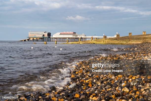 Gulls bob on the waves at Cromer in front of iconic Victorian pier.