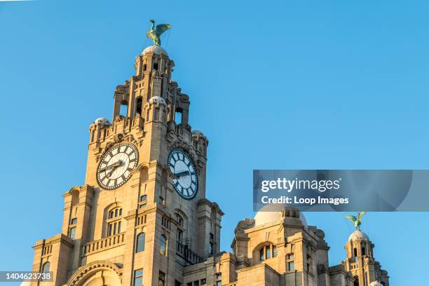 The two Liver birds perched on the Royal Liver Building on the Liverpool skyline at sunset.