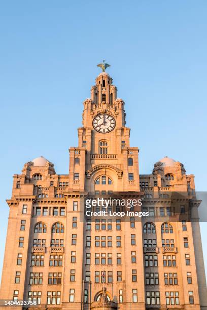 Royal Liver Building on the Liverpool waterfront before sunset.