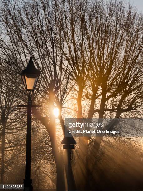 Foggy winter sunrise, with trees and lanterns, on Abingdon Bridge 4.
