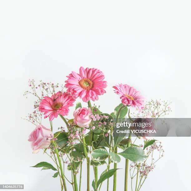 beautiful flower bouquet with pink gerbera flowers and roses at white background. - gerbera daisy ストックフォトと画像