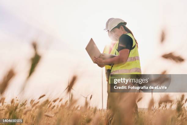 two young male and female wind farm engineers wearing jackets and white hardhats standing, working checking farm field system - handwerker weißer helm stock-fotos und bilder