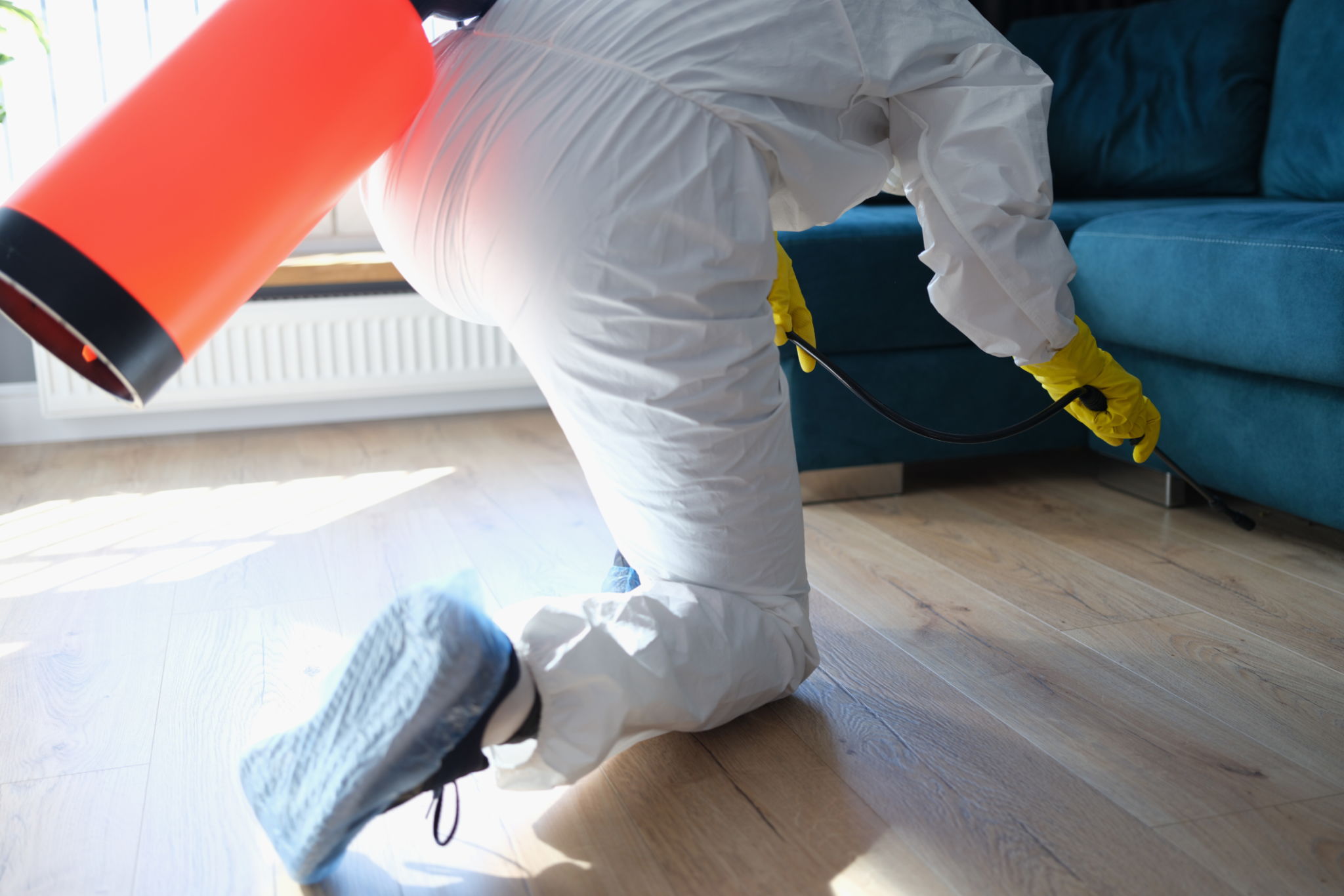 pest control measures