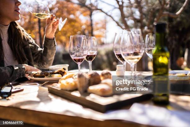 woman on a winetasting event - mendoza stock pictures, royalty-free photos & images