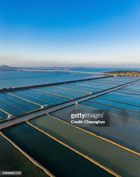drone aerial view of fish farm - aquaculture stock pictures, royalty-free photos & images