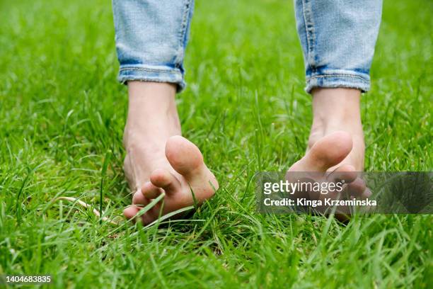 barefoot - beautiful legs and feet fotografías e imágenes de stock