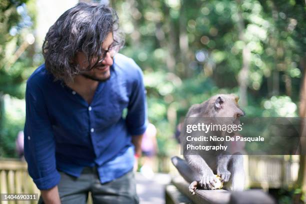 smiling man playing with monkey, ubud, bali, indonesia - monkey wearing glasses stockfoto's en -beelden