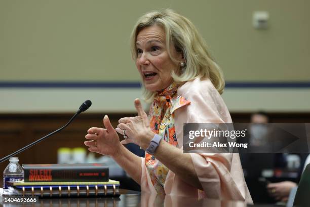 Former Trump Administration Coronavirus Response Coordinator Dr. Deborah Birx testifies during a hearing before House Select Subcommittee on the...