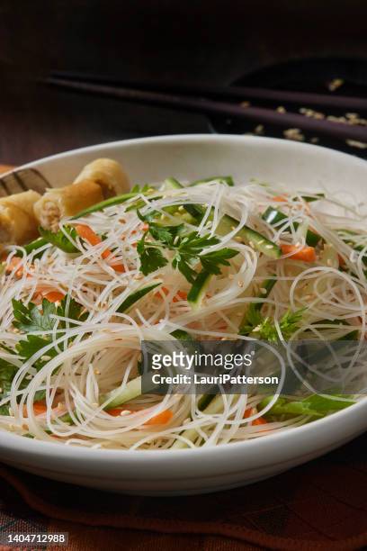 vietnamese rice noodle salad - crunchy salad stock pictures, royalty-free photos & images