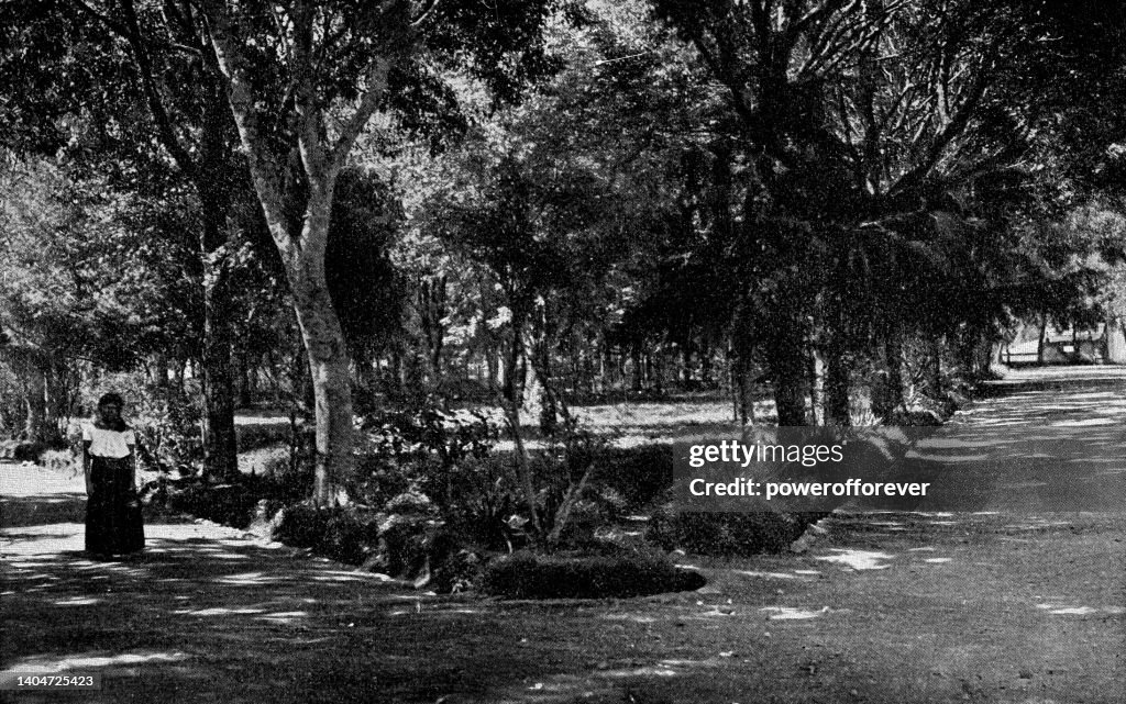 Alameda Francisco Gabilondo Soler Cri Cri Park in Orizaba, Mexico - 19th Century