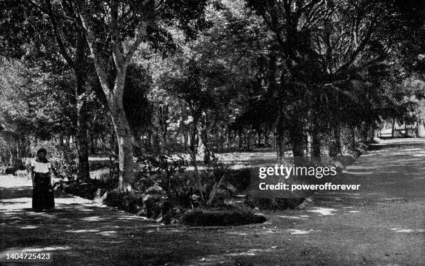 alameda francisco gabilondo soler cri cri park in orizaba, mexico - 19th century - orizaba stock illustrations