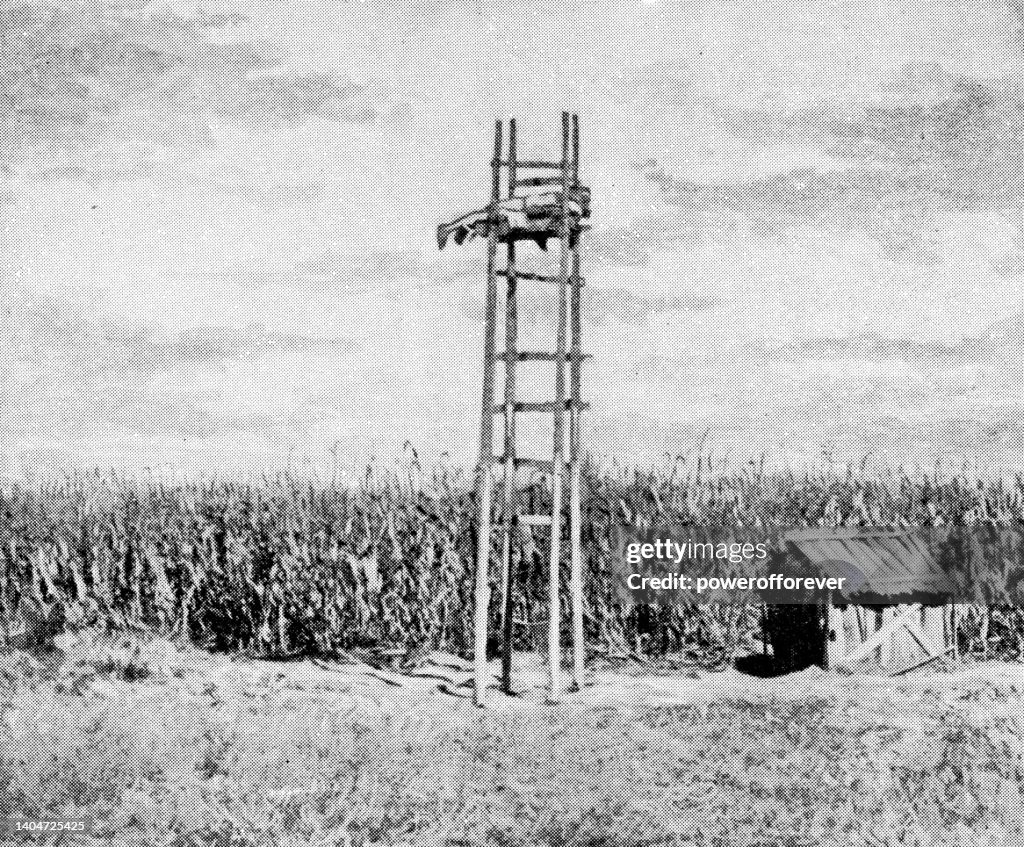 Watchtower at a Cornfield in Orizaba, Mexico - 19th Century