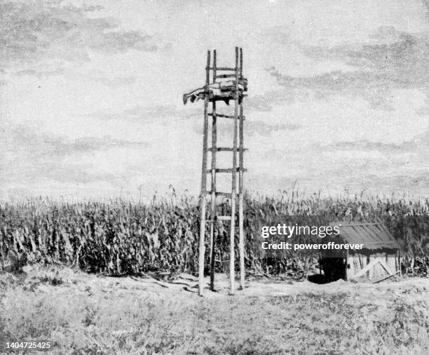 watchtower at a cornfield in orizaba, mexico - 19th century - corncob towers stock illustrations