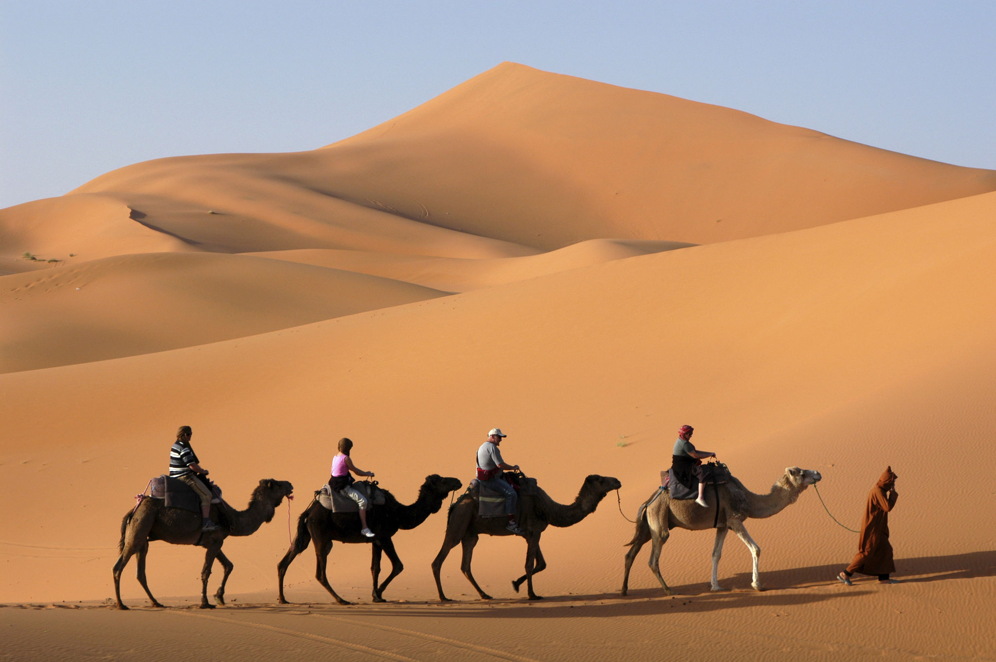 Camel Caravan in the Sahara Desert Camel Caravan in the Sahara Desert
