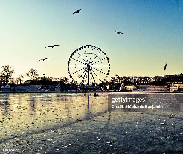 parisian big wheel - grande roue photos et images de collection