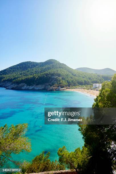 idyllic landscape of san vicente beach in ibiza, balearic islands, spain - ibiza strand stock pictures, royalty-free photos & images