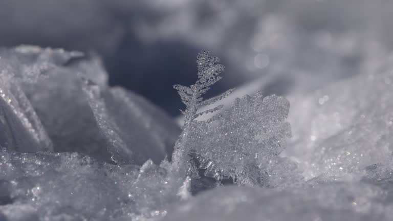 imagen en miniatura de vídeo