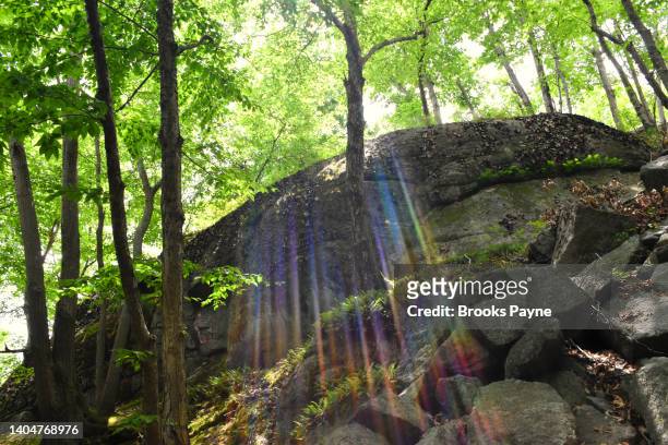 rainbow sunbeams in the woods create a magical effect. - quincy massachusetts stock pictures, royalty-free photos & images