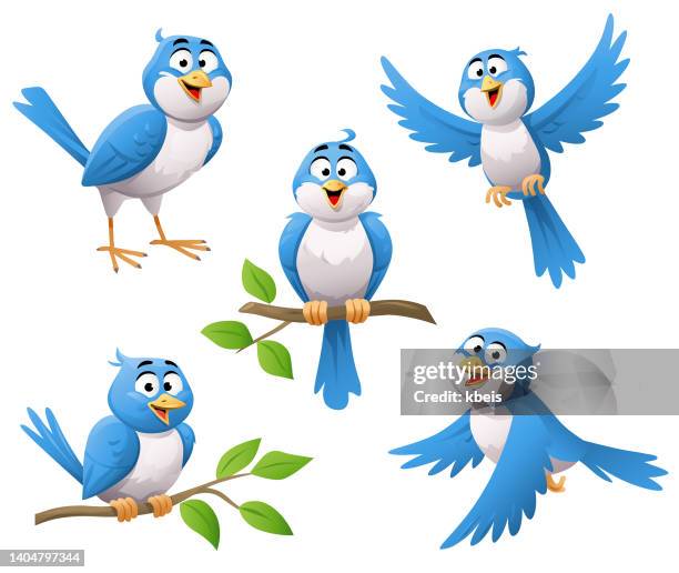 blue birds - bird watching stock illustrations