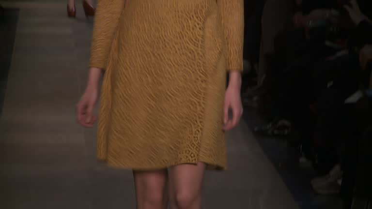 FRA: Carven Paris Fashion Week A/W 2012