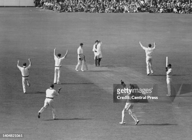 Australian fielders celebrate as Umpire Frank Chester signals out to England opening batsman Cyril Washbrook after being caught out for 2 runs by...