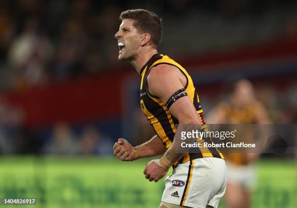 Luke Breust of the Hawks celebrates after scoring a goal during the round 15 AFL match between the Western Bulldogs and the Hawthorn Hawks at Marvel...