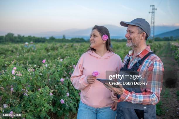 2,821 Speaking Roses Stock Photos, High-Res Pictures, and Images ...
