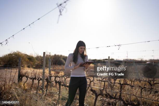 mid adult woman working on a digital tablet at a vineyard - argentina vineyard stock pictures, royalty-free photos & images