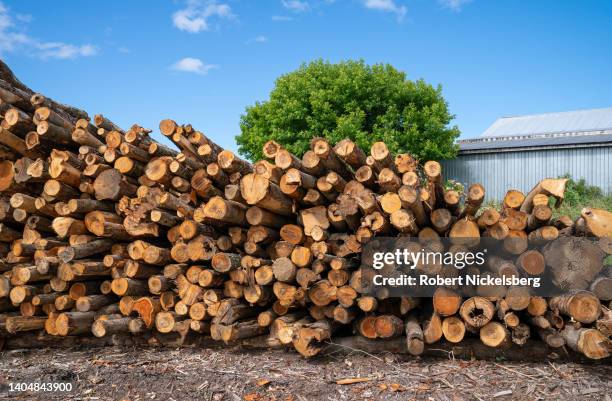 Firewood supplier Robert Marble stocks firewood logs for sale June 19, 2022 in Charlotte, Vermont. Marble has a two-month list of orders for delivery...