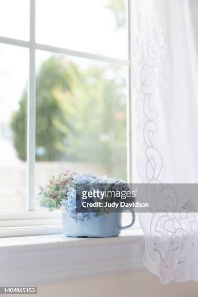 blue green hydrangeas in a blue enamelware cup on a window with a lace curtain - battenburg stockfoto's en -beelden