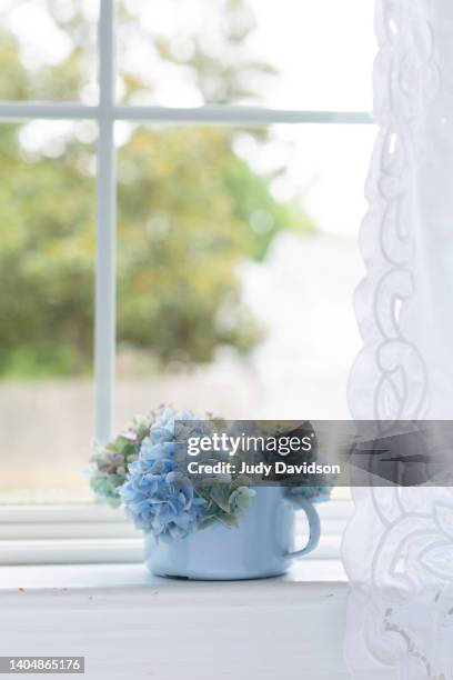 blue green hydrangeas in a blue enamelware cup on a window with a lace curtain - battenburg stockfoto's en -beelden