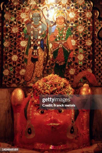 hindu altar dedicated to hanuman ( india) - monkey god stock pictures, royalty-free photos & images