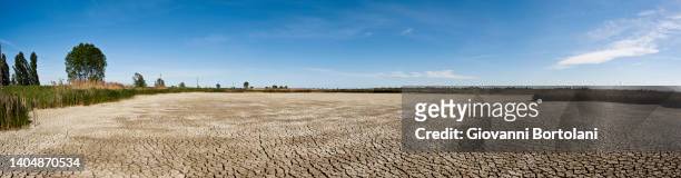 arid agricultural field, drought - seco imagens e fotografias de stock