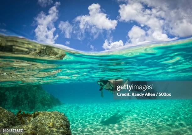 woman snorkeling in sea,british virgin islands - virgin islands stock pictures, royalty-free photos & images