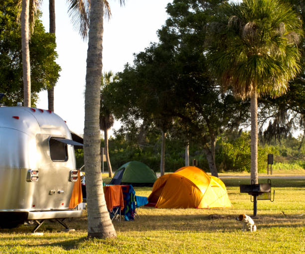 campsite with palm trees - overnight summer camps in florida stock pictures, royalty-free photos & images
