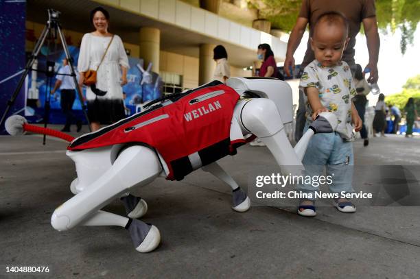 Child shakes hands with a robot dog during the opening ceremony of Fuzhou Science and Technology Week at Fuzhou Science and Technology Museum on June...