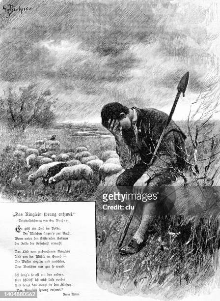 shepherd holding his hand on the face, sitting in the meadow, depressed - jewel shepard stock illustrations