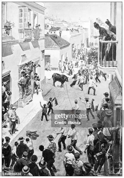 antique illustration: "callumbo" festival in san fernando, near cadiz - bull fighting stock illustrations