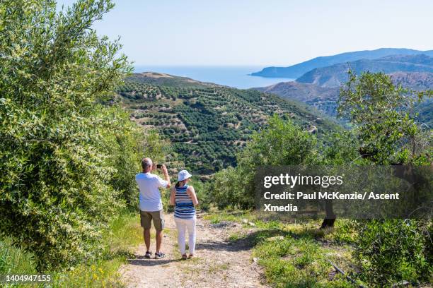 friends follow trail through lush olive grove - paul of greece - fotografias e filmes do acervo