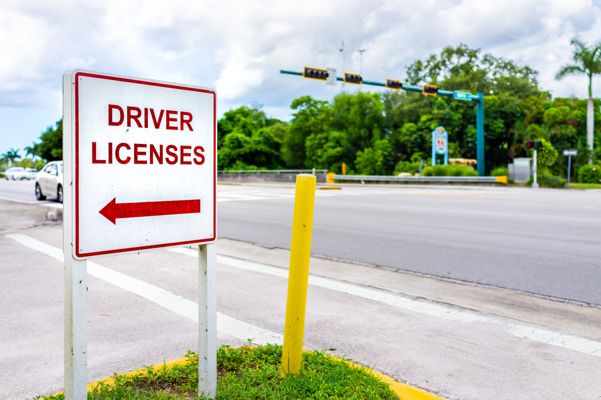 license renewal